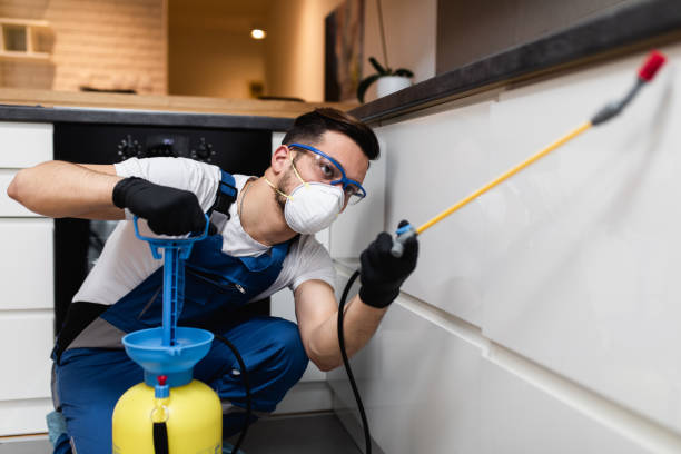 Best Pest Control for Businesses  in Clemmons, NC
