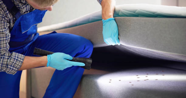 Best Cockroach Control Services  in Clemmons, NC