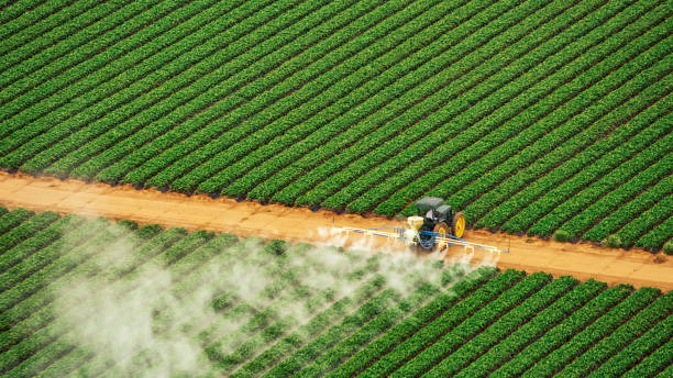 Best Commercial Pest Control Services  in Clemmons, NC